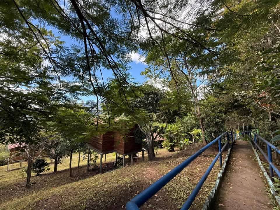 Venta: Valle de Angeles en Las Martitas