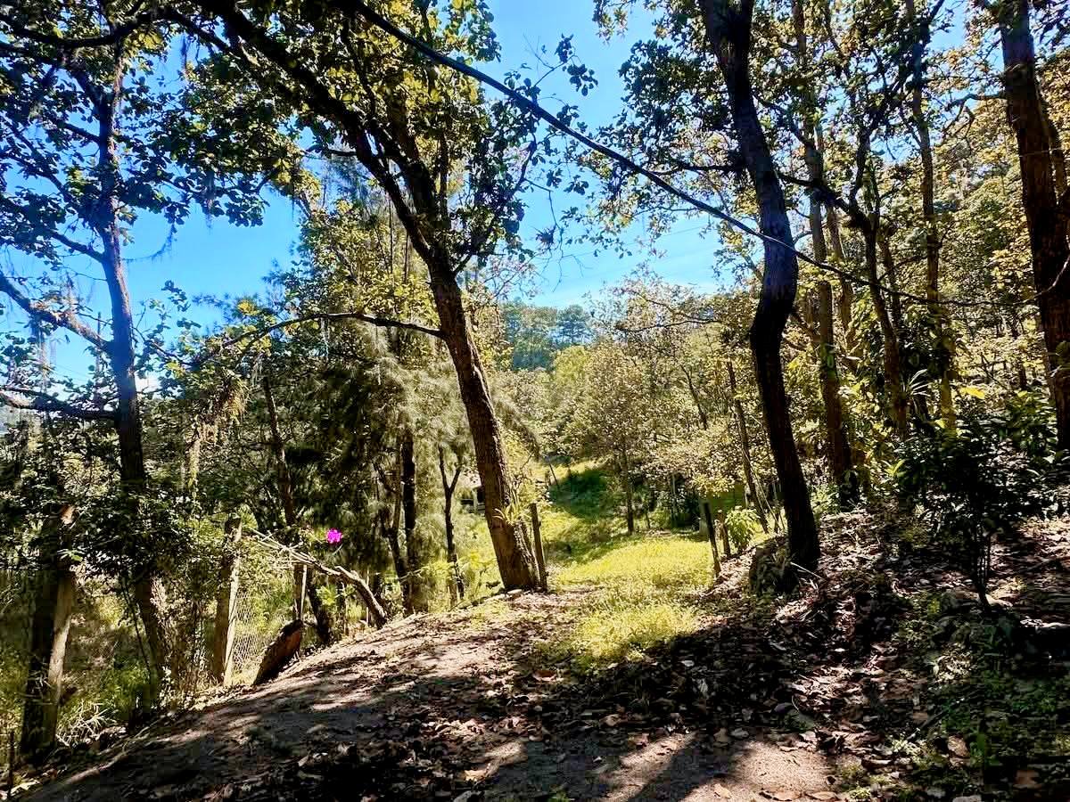 Venta: CA5 contiguo al Cementerio Memorial