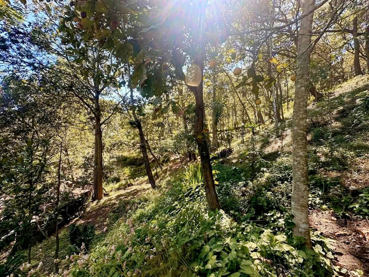 Venta: CA5 contiguo al Cementerio Memorial