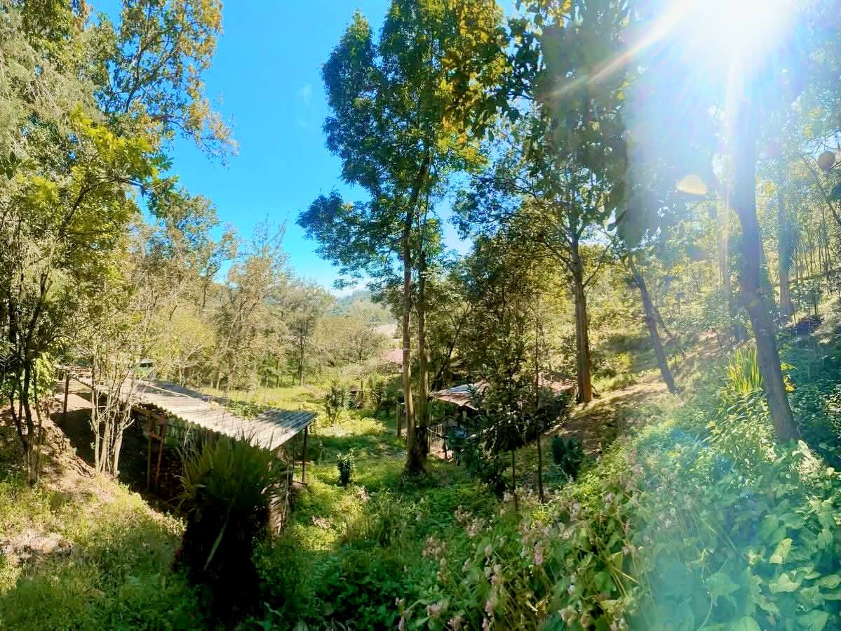 Venta: CA5 contiguo al Cementerio Memorial