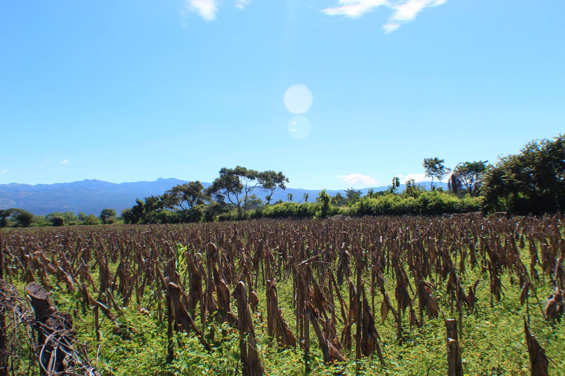 Venta: El Zamorano, Aldea el Zarzal/ CDR1-VT5