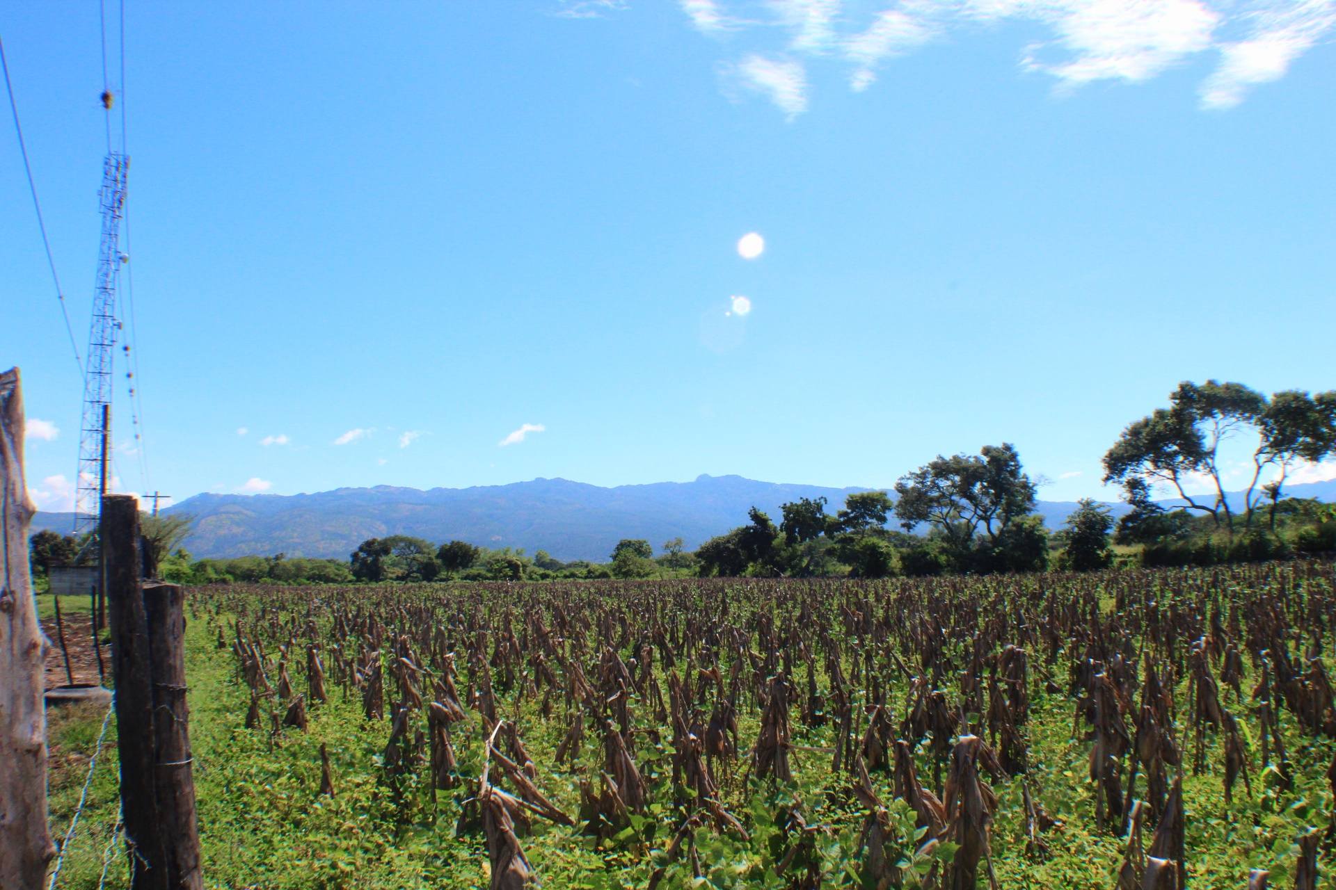 Venta: El Zamorano, Aldea el Zarzal/ CDR1-VT5