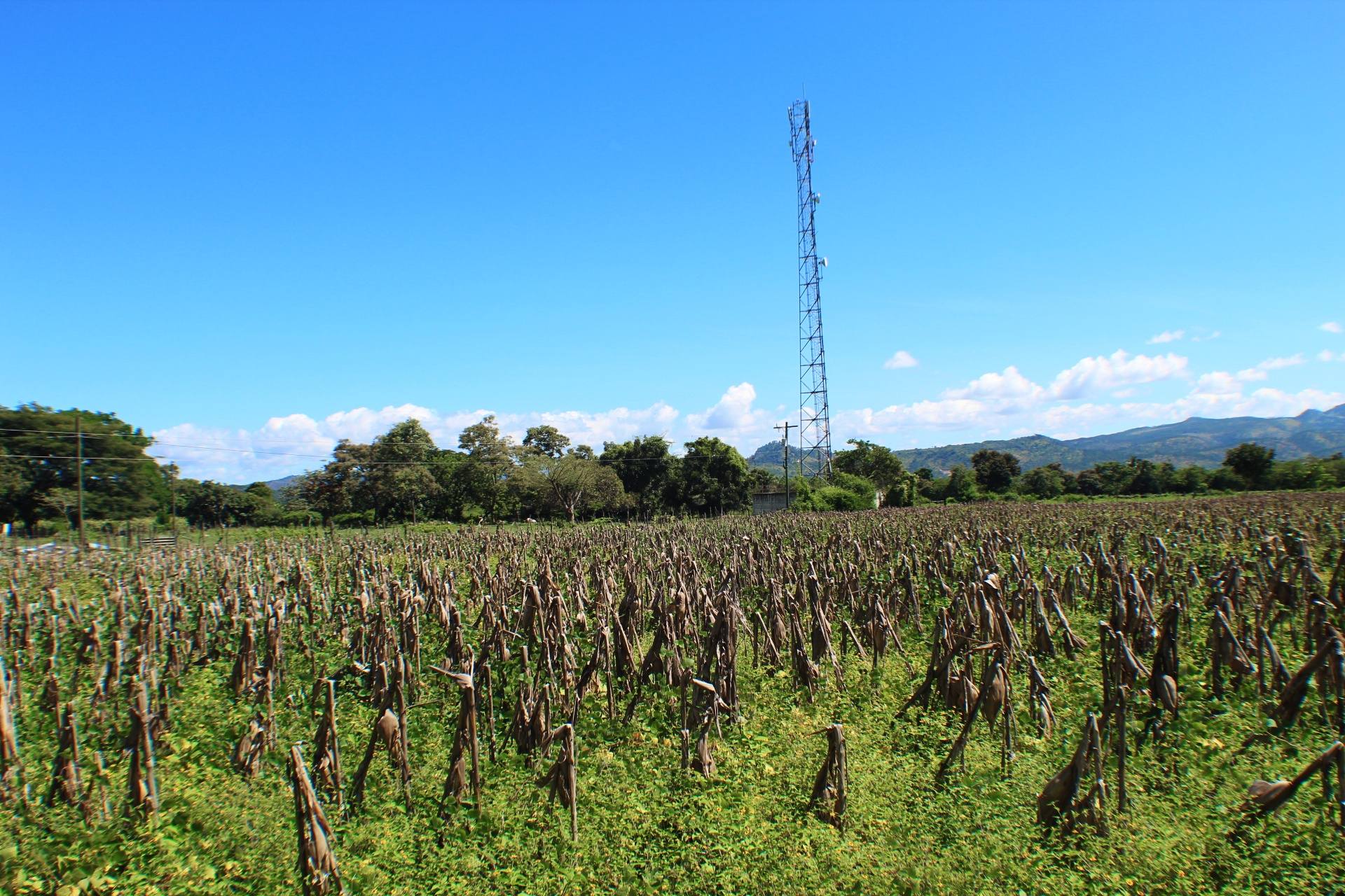 Venta: El Zamorano, Aldea el Zarzal/ CDR1-VT5