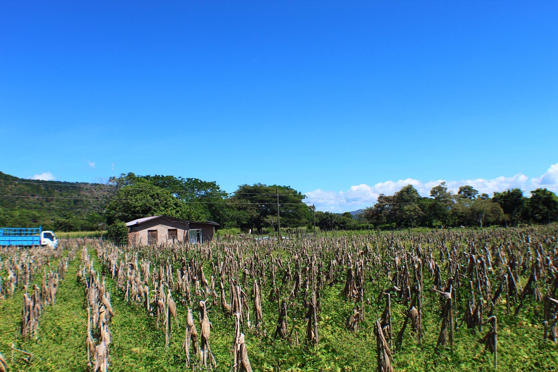 Venta: El Zamorano, Aldea el Zarzal/ CDR1-VT5