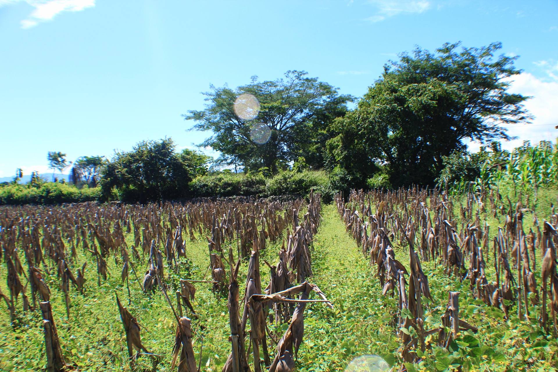 Venta: El Zamorano, Aldea el Zarzal/ CDR1-VT5