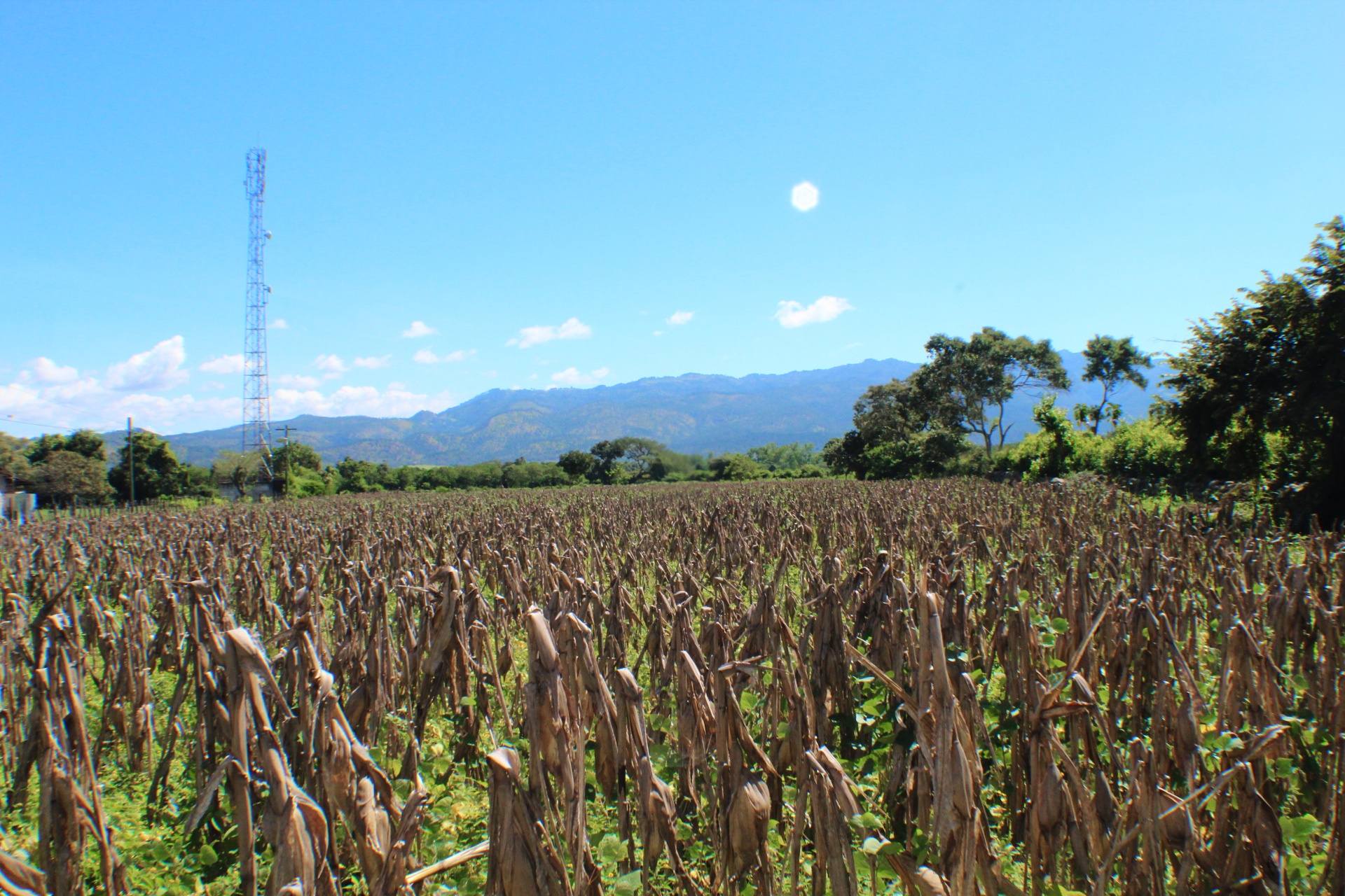 Venta: El Zamorano, Aldea el Zarzal/ CDR1-VT5