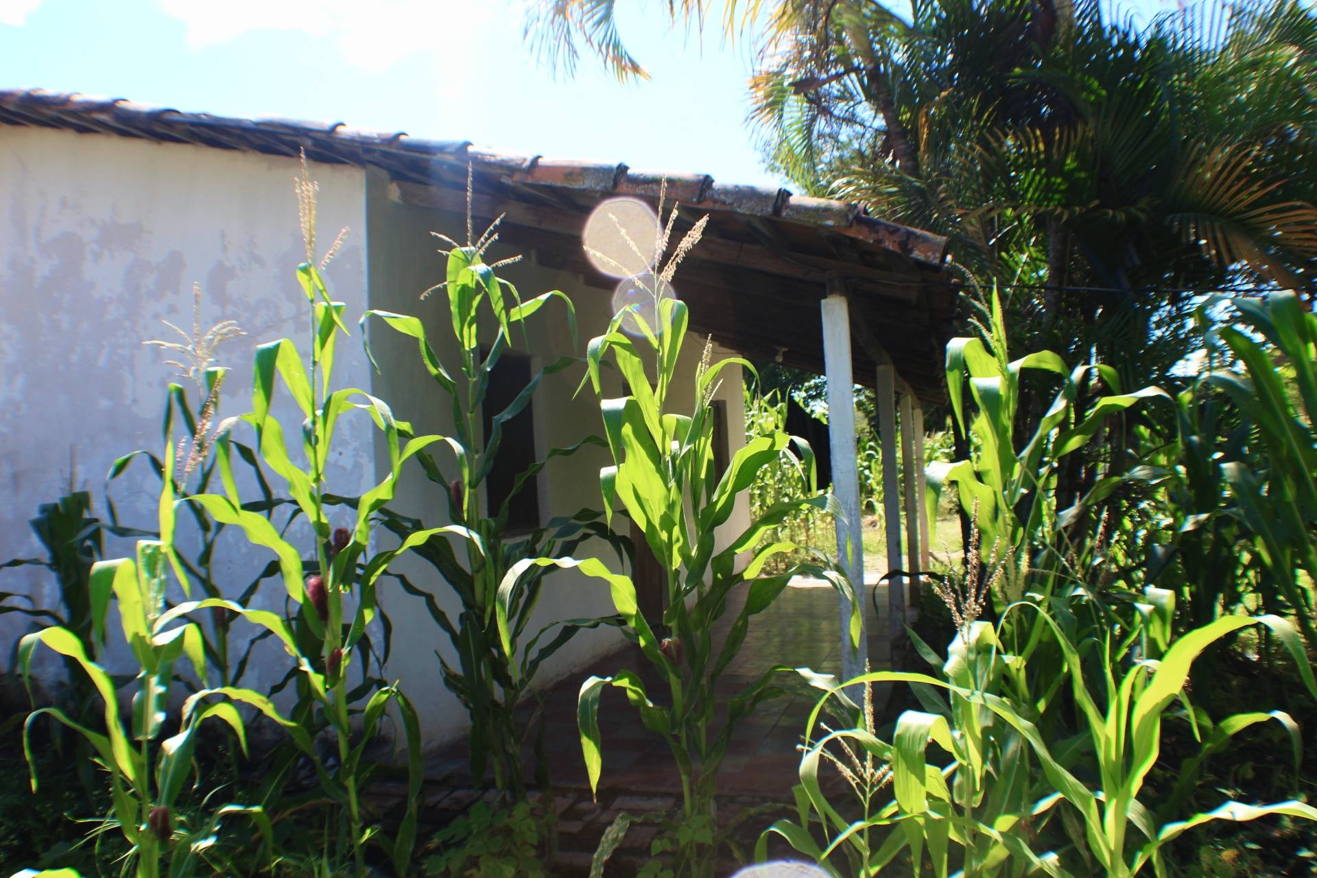 Venta: El Zamorano, Aldea el Zarzal/ CDR1-VT5