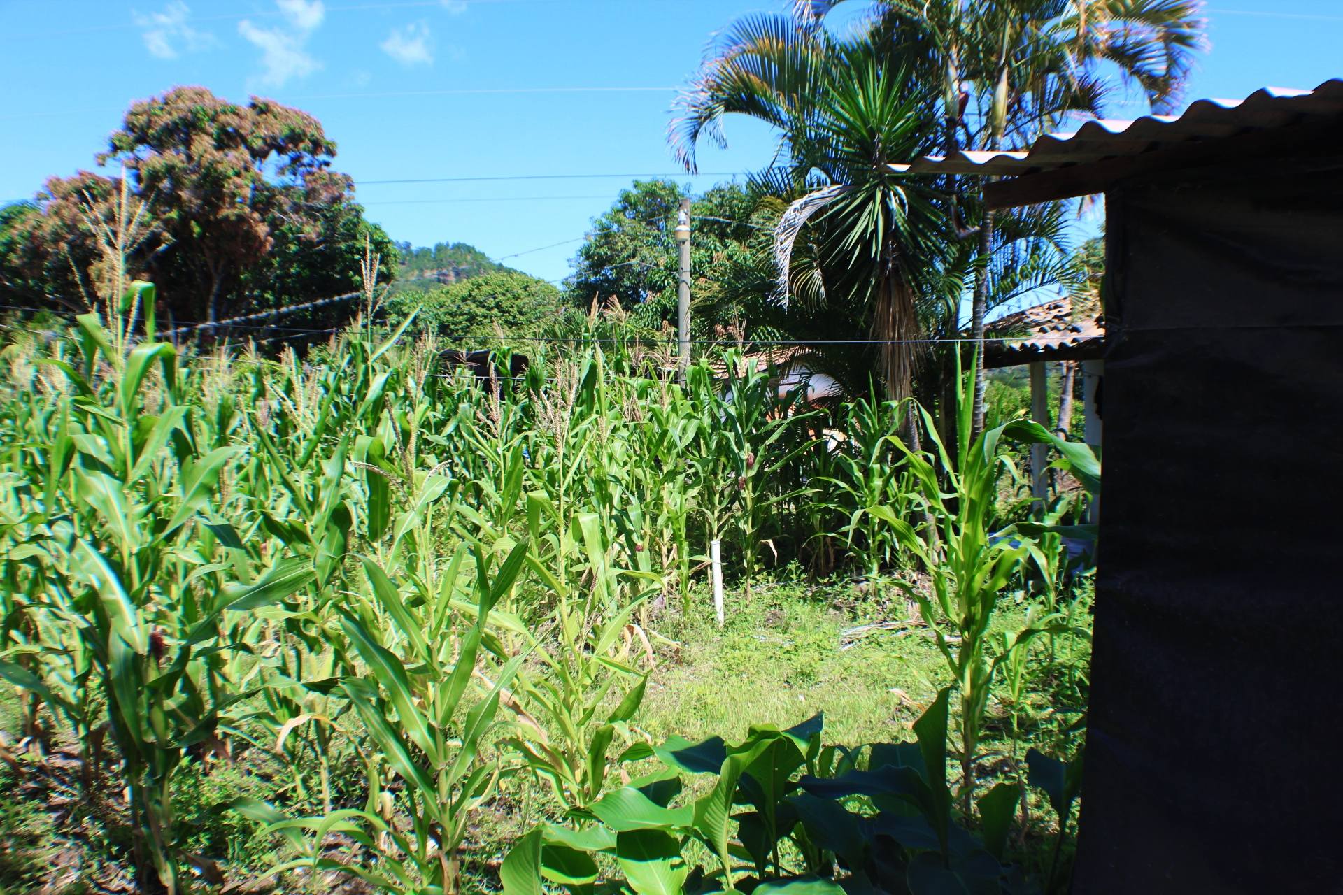 Venta: El Zamorano, Aldea el Zarzal/ CDR1-VT5