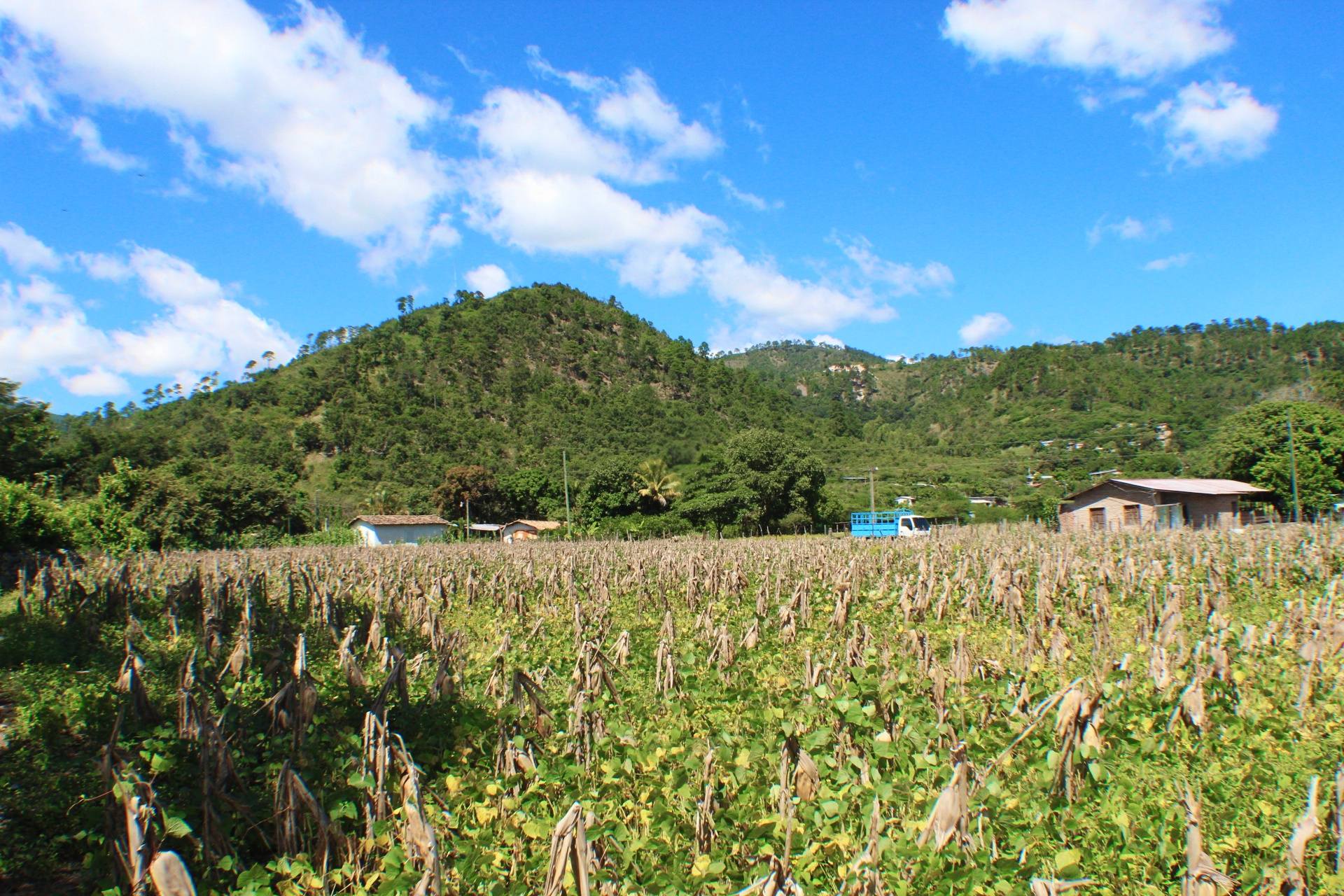 Venta: El Zamorano, Aldea el Zarzal/ CDR1-VT5