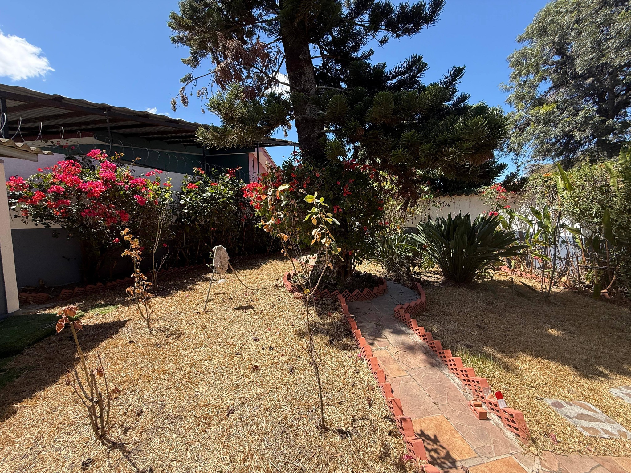 Venta: Col. Los Ángeles/ BRE1-VCC21