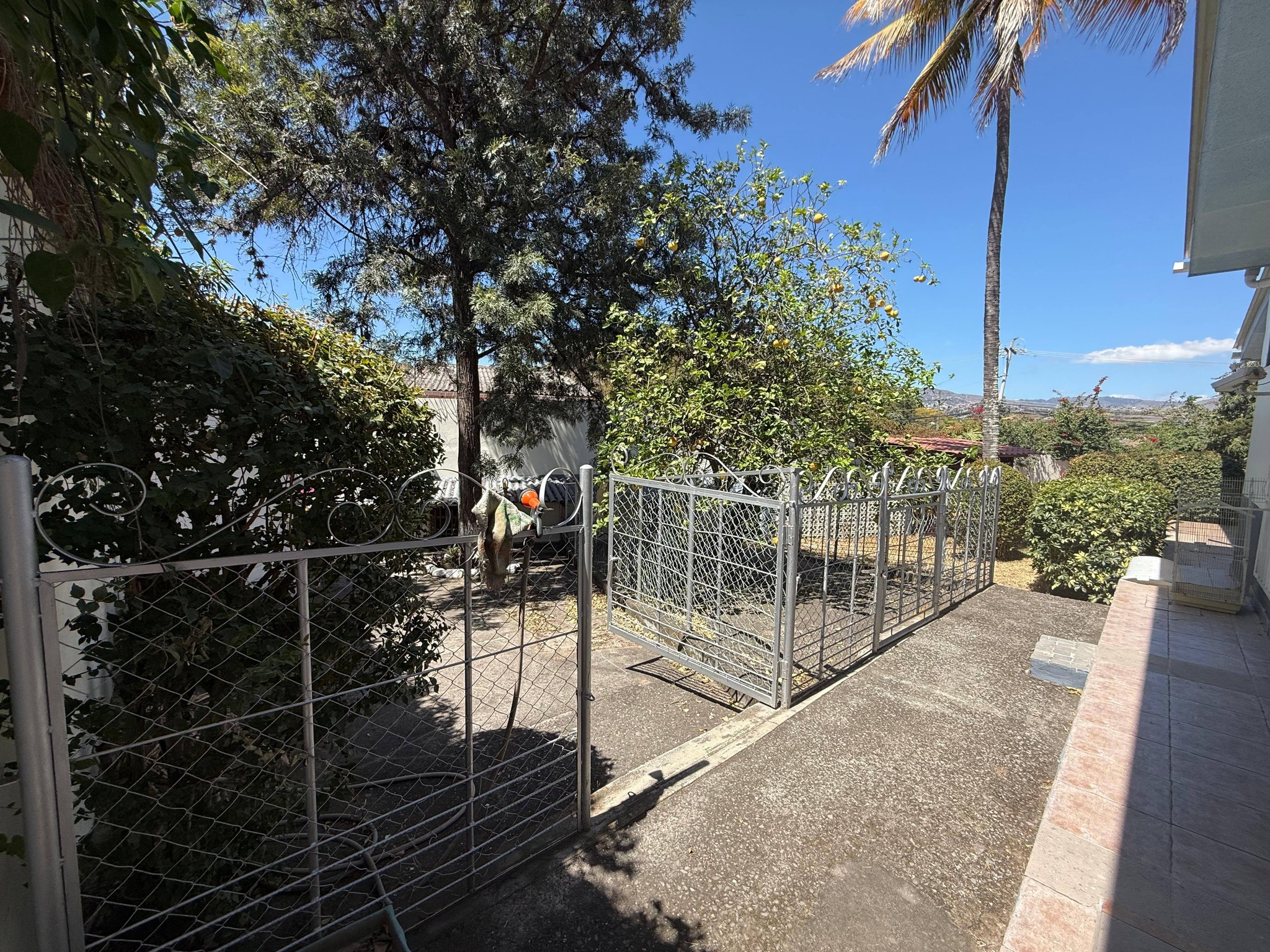 Venta: Col. Los Ángeles/ BRE1-VCC21
