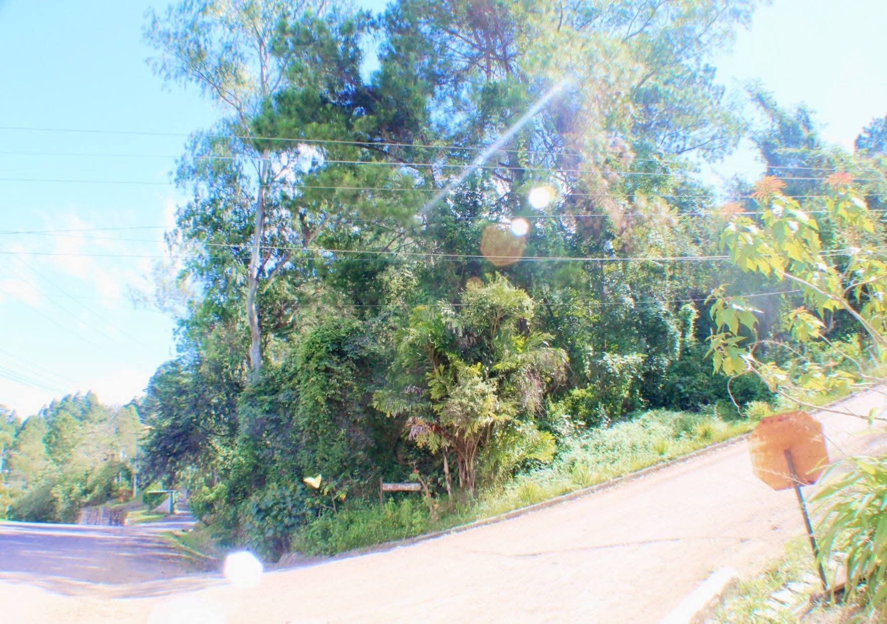 Residencial Villa Elena