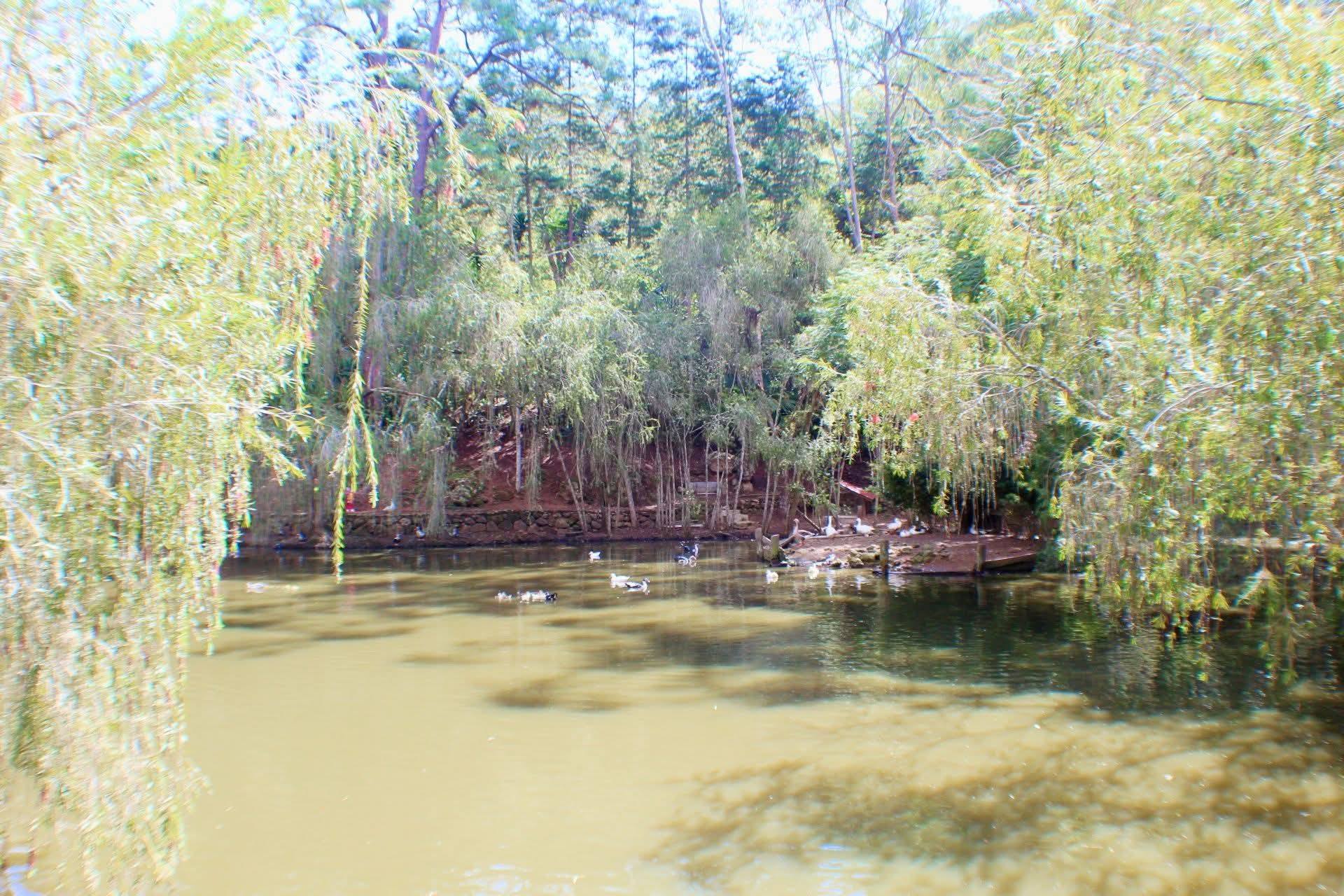 Venta: Residencial Villa Elena