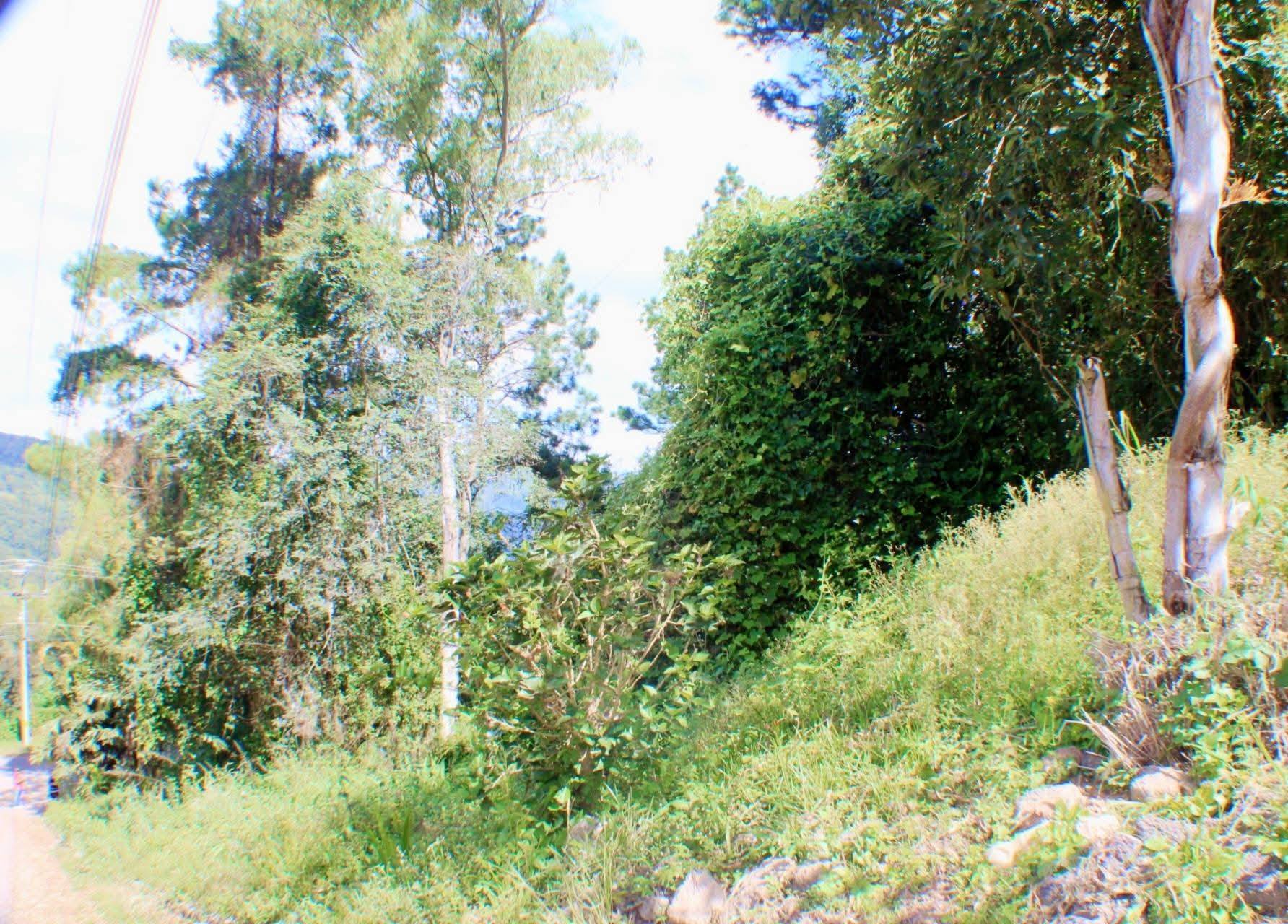 Venta: Residencial Villa Elena