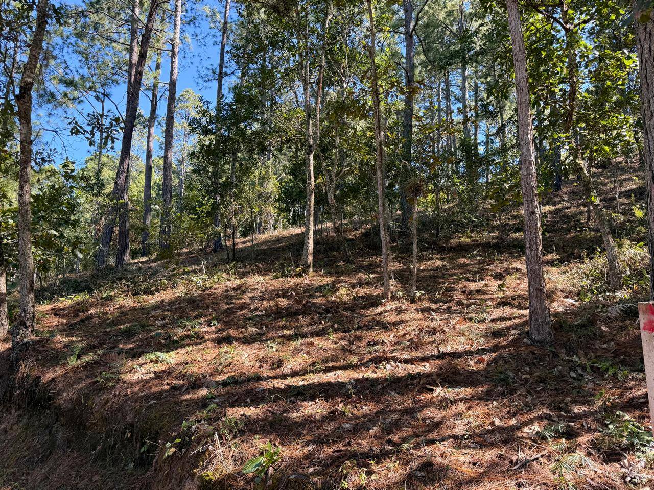 Venta: Santa Lucía, Res. Las Lagunetas