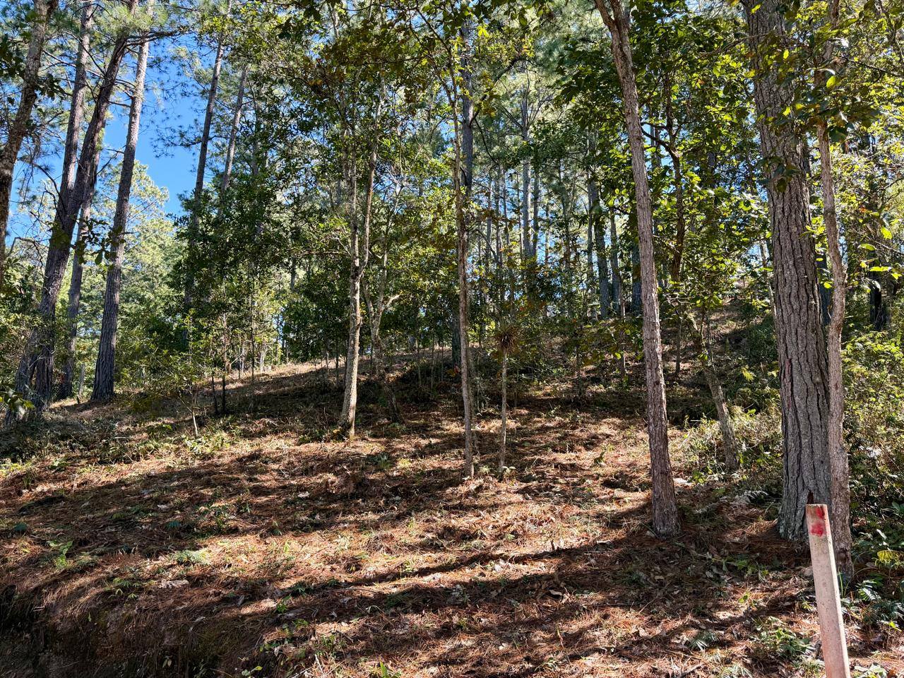 Venta: Santa Lucía, Res. Las Lagunetas