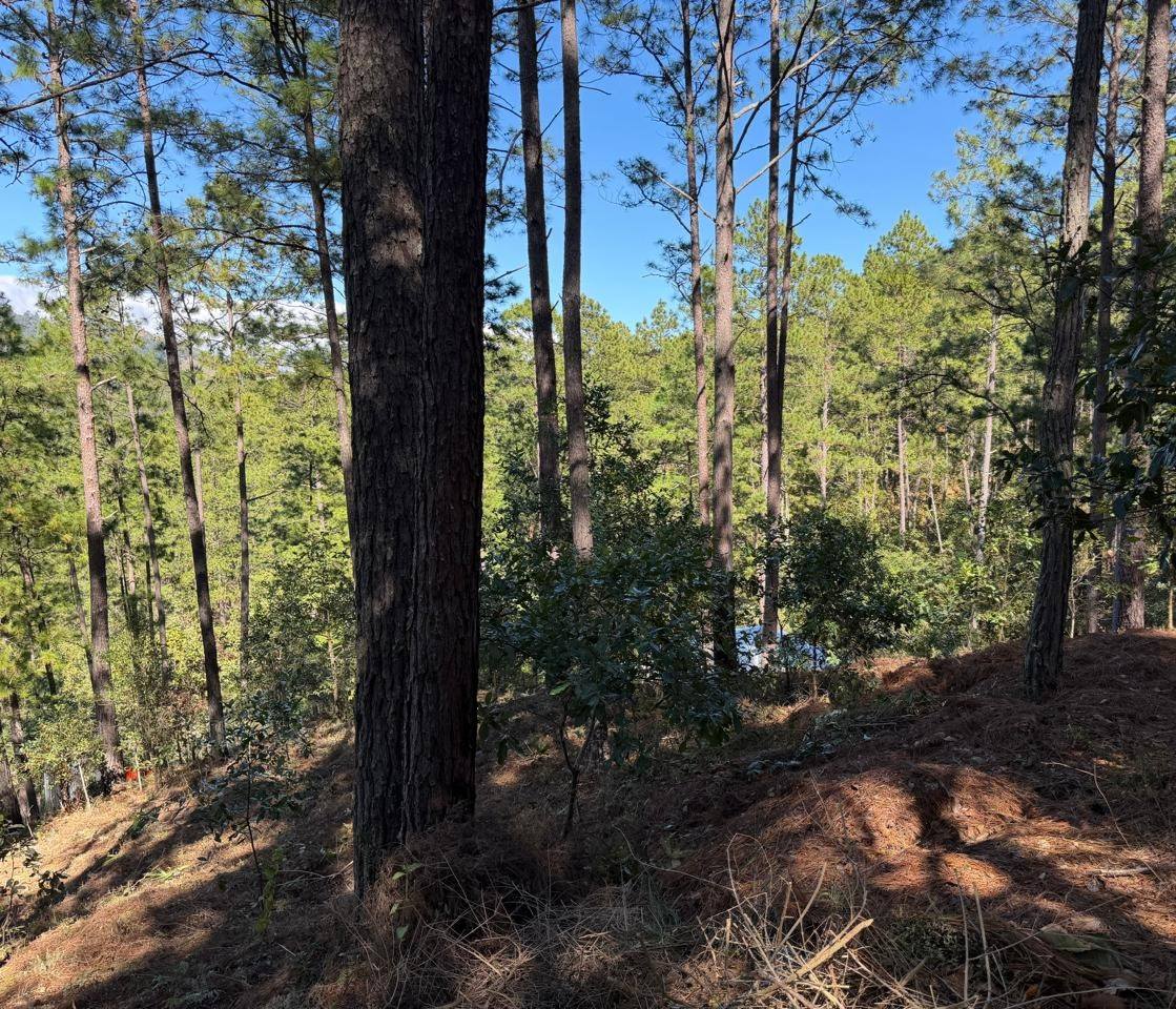 Venta: Santa Lucía, Res. Las Lagunetas