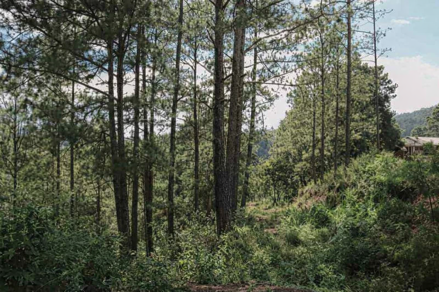 Venta: Res. Zarabanda, Villa Los Pinares.