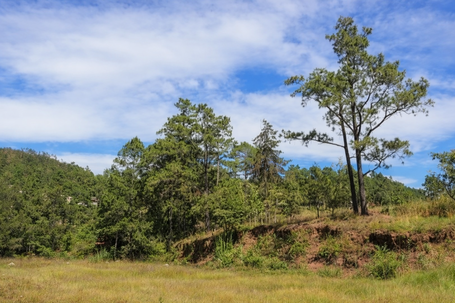 Venta: Res. Zarabanda, Villa Los Pinares.