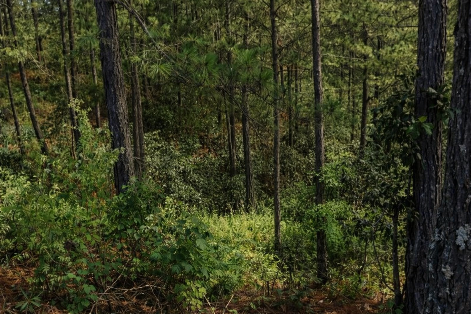 Venta: Res. Zarabanda, Villa Los Pinares.