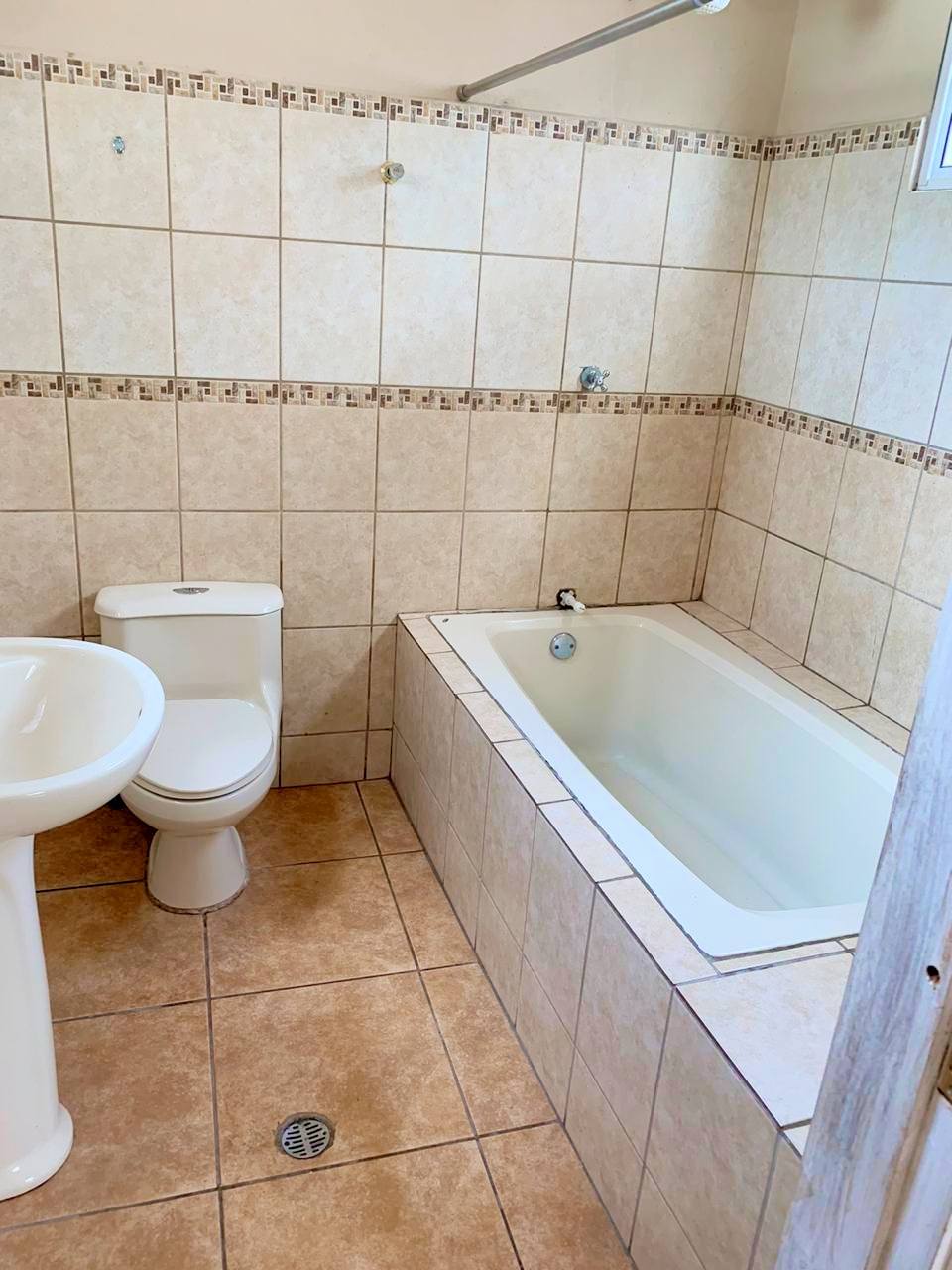 Alquiler: Col. San Carlos por Bo. Morazán