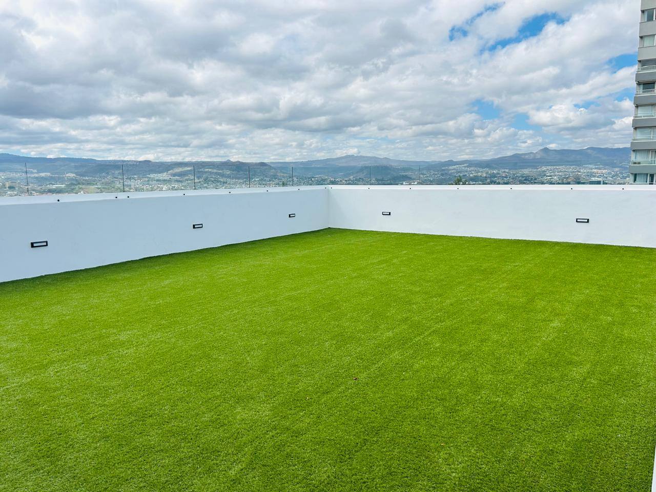 Alquiler: Col. Loma Linda Norte, Torre Avalon